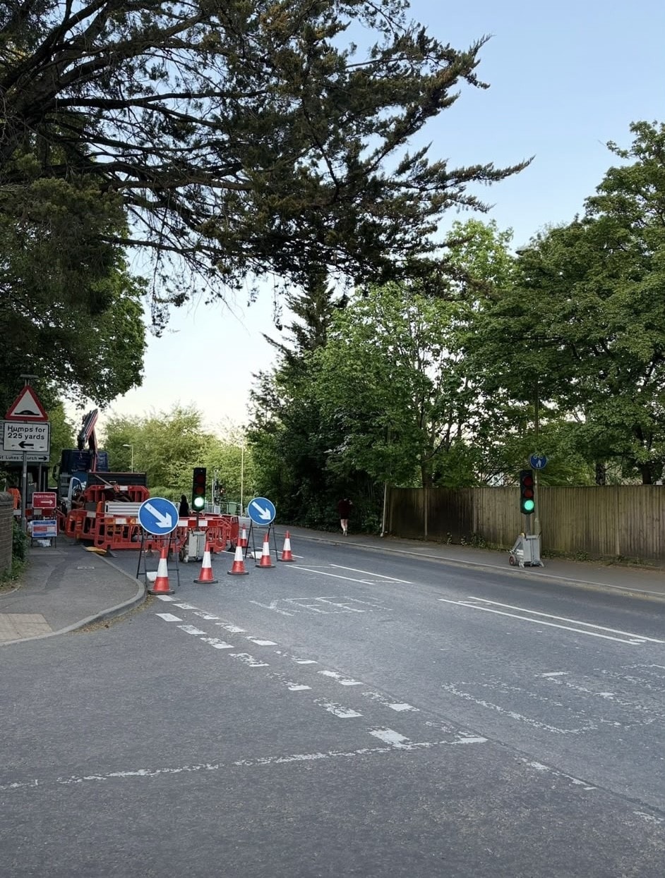 Temporary traffic signals and cones on a tree-lined road at dusk